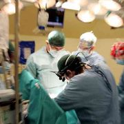 Trapianti quadruplicati, perché l’Italia è cresciuta così tanto in trent’anni