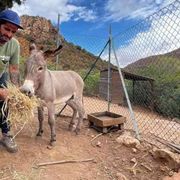 In Sardegna c’è un’oasi di natura e inclusione