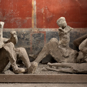 Lo studio del Dna rivela chi erano le vittime dell'eruzione del Vesuvio