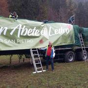 La vera storia dell'abete di Natale per piazza San Pietro