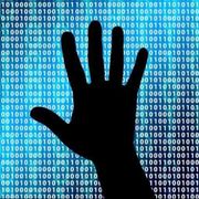 Vita digitale e dolore reale: la violenza corre sulla Rete