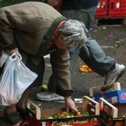 Sprechi alimentari, l’ingiustizia dalla produzione a casa nostra
