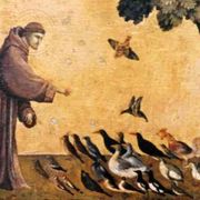 Il Cantico delle Creature, da 800 anni voce di speranza