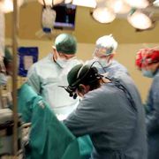 Nel 2024 record di organi donati. «Ma tra i giovani troppi dinieghi»