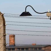 Il dramma dell'oblio della Shoah: perché non dobbiamo smettere di guardare