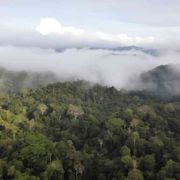 L'Amazzonia dei fiumi volanti: come si cambia per non morire