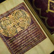 Il boom della Capitolare di Verona, la più antica biblioteca ancora in attività