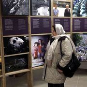 Tensione in Bosnia, il memoriale di Srebrenica chiuso per motivi di sicurezza