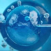 “Diritto al figlio” per le donne single? La Corte costituzionale decide