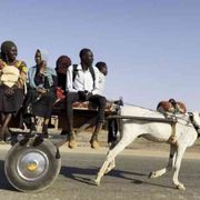 Ahmad: «Porto al cinema l'anima nascosta del Sudan»