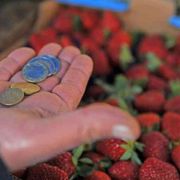 Un pacchetto di fragole per capire cosa vuol dire essere a rischio povertà