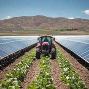 Nei campi si coltiva sempre più Sole. Ma non tutti pensano sia una buona idea