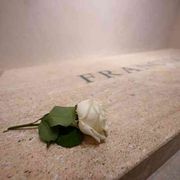 Teresa di Lisieux e la rosa bianca: la devozione di Francesco