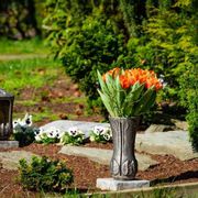 Non sappiamo né il giorno né l'ora