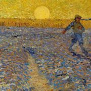Il grano, la terra, il sole: il Papa spiega il “Seminatore” di van Gogh