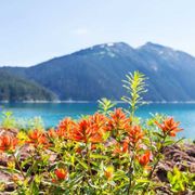 Nessuno sa davvero come pregare