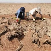 Prima della Grande Muraglia i cinesi costruirono il grande muretto