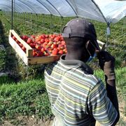 No a un'altra estate di ghetti e caporali: la Chiesa scende in campo