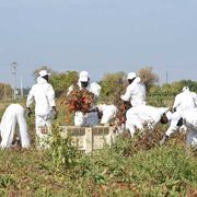 Ecco tutte le contraddizioni del decreto flussi