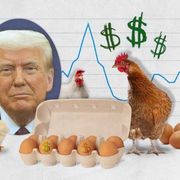 L'Uovo di Trump torna a far litigare l'America