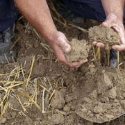 È l'Overshoot day: abbiamo consumato tutte le risorse naturali dell'anno