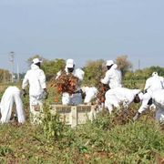 Fondi del Pnrr a rischio: spesi solo 26 milioni su 200