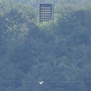 La "distensione dei decibel": Seul toglie gli altoparlanti anti-Pyongyang