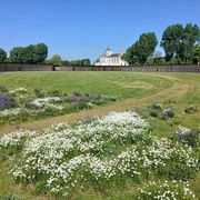 Arras, la città "reduce di guerra" che ha costruito la sua speranza