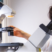 «Con le terapie epigenetiche possiamo frenare la corsa delle malattie»