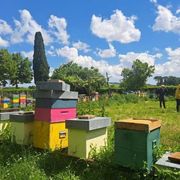 Macerata, in viaggio seguendo il ronzio delle api