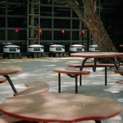 Lavorare fra un quarto di secolo, in mezzo a robot e agenti IA