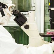 Neuroblastoma, il successo delle cellule Car-T