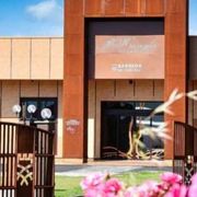 Un incontro fra scienza ed enologia per riscoprire viti secolari