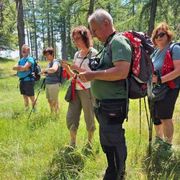 La montagna e l'amicizia secondo Pier Giorgio Frassati