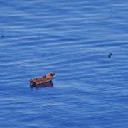 Naufragio al largo di Lampedusa, una donna morta e una dispersa
