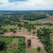 L'Ue ci prova di nuovo: vuole rinviare le regole contro la deforestazione