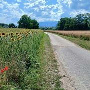 Lungo la frontiera dei pellegrini i veri monumenti sono le persone