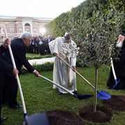 Neril: «La cura del Creato? Sfida comune per cristiani ed ebrei»