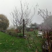 L'arte di sopravvivere, con un minimo di grazia