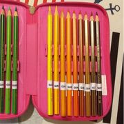 Un astuccio con le matite contrassegnate con il nome del suo piccolo proprietario