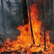 Cambiamento climatico, avanti in ordine sparso. E l'inazione pesa