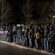 Cittadini extra Ue, Istat: diminuiscono gli arrivi ucraini