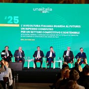 Avicoltura solida e sostenibile