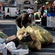 Un anziano fruga tra i rifiuti del mercato di piazza S. Cosimato a Trastevere, a Roma per cercare del cibo da mangiare