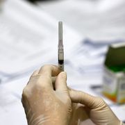 «Cure palliative, Servizio sanitario: cosa dirà la legge sul suicidio assistito»