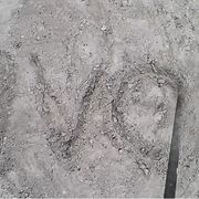 Arte, critica e intelligenza artificiale.
Tradurre
l’intraducibile