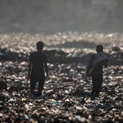 Putin sfida Trump all'Onu con una contro-risoluzione su Gaza