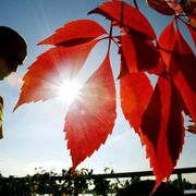 Una tristezza da volersi suicidare. Sicuri che non ci riguarda?