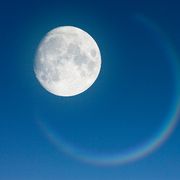 Sì, è proprio vero: la letteratura è inutile. Come la Luna