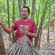 Un uomo di carnagione olivastra in maglietta rossa, in piedi e sorridente, in mezzo a una piantagione di giovani palme